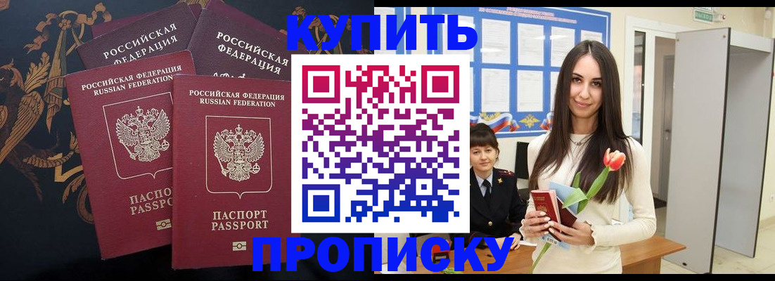 прописка гарантия в Апатитах